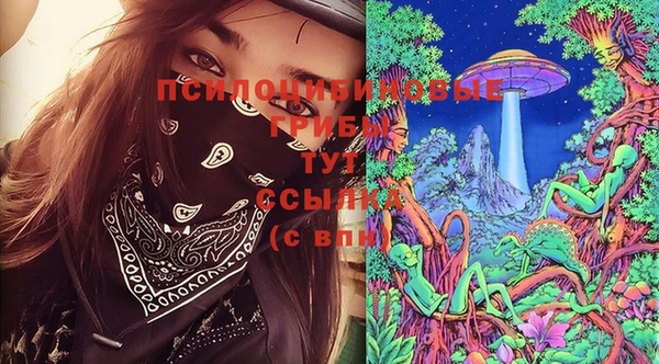трава Богданович